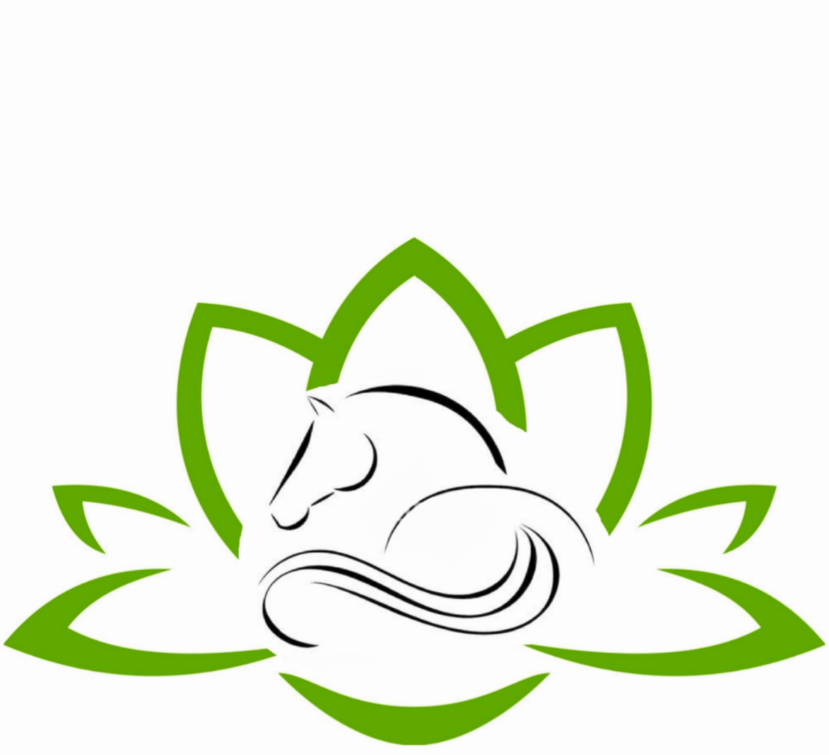 CHAVALNAT ÉQUI-ÉVOLUTION